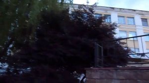 Соловей поёт на Ленинской