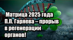 Матрица 2025 года П.П. Гаряева – прорыв в регенерации органов!