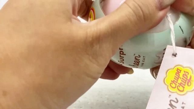 11 Chupachups Pusheen Surprise