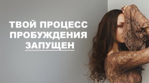 Поле работает