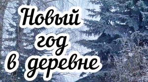 Новый год в деревне ❄️