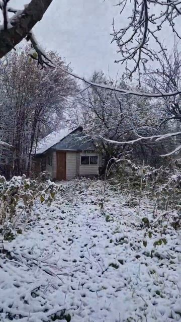 Чудеса случаются, если в них верить С первым снегом!❄️ смотреть онлайн