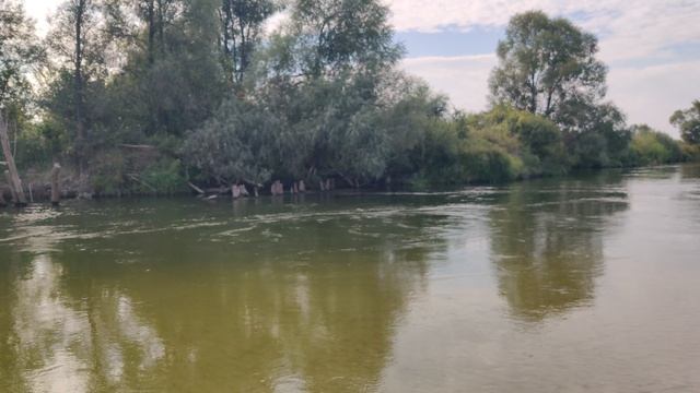VID_20240824_152114 смотреть онлайн