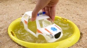 Грузовики и животные | Строительные машины и экскаваторы песка столкнулись со змеями