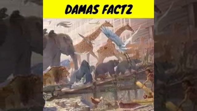 29 October 2022 смотреть онлайн