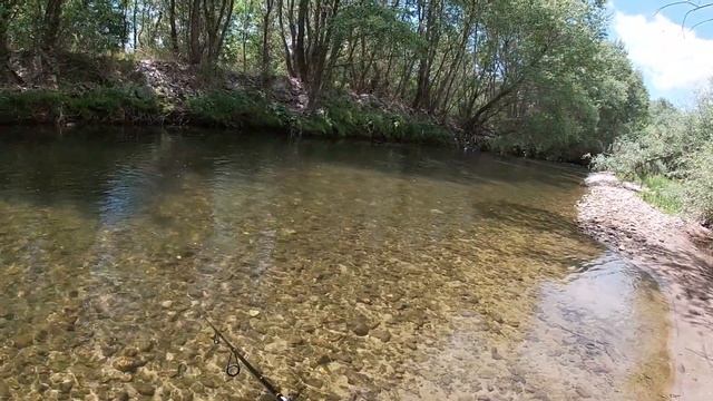 КЕФАЛИ НА МАРИЦА | СПАСИХ СИ ЛОГОТО ОТ ЗМИЯ смотреть онлайн