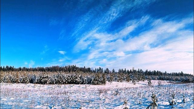 Н  Некрасов  Мороз-воевода  Не ветер бушует над бором  #стихиозиме #поэты19века