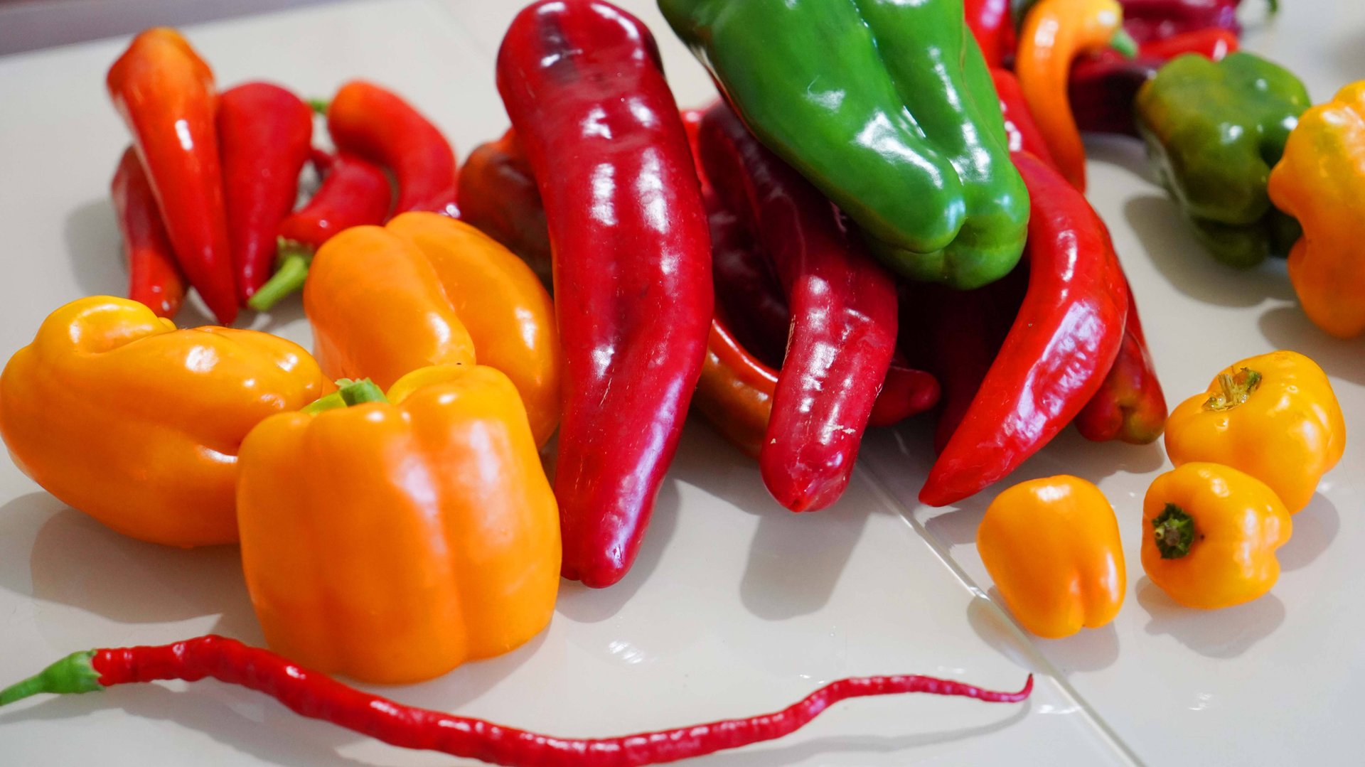 Обзор сортов сладкого перца . смотреть онлайн