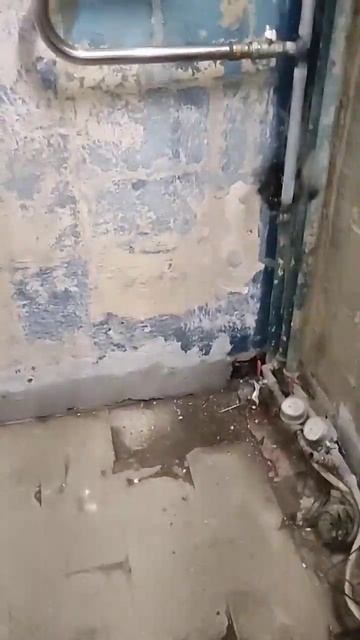 Быстрая сварка полотенцесушителя смотреть онлайн