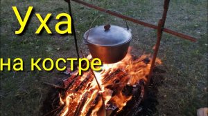 Уха на костре "Обалденная"!!! Самая вкусная уха на природе!