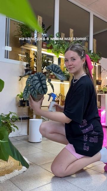 Почти асмр видео💚🌿#комнатныерастения #растения #уходзарастениями #plant #цветы #топ смотреть онлайн