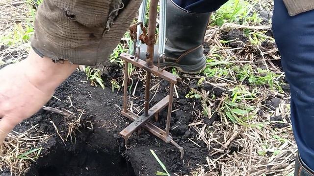 Ловля крота, слепыша. Или как избавиться от крота, слепыша. смотреть онлайн