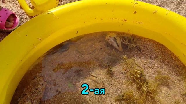 Офиура это совсем и не звезда. смотреть онлайн