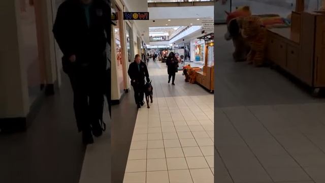 Alex brass mill mall смотреть онлайн