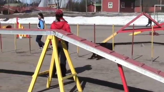 Agility Mikkeli 16/04/2011 Dina agi смотреть онлайн