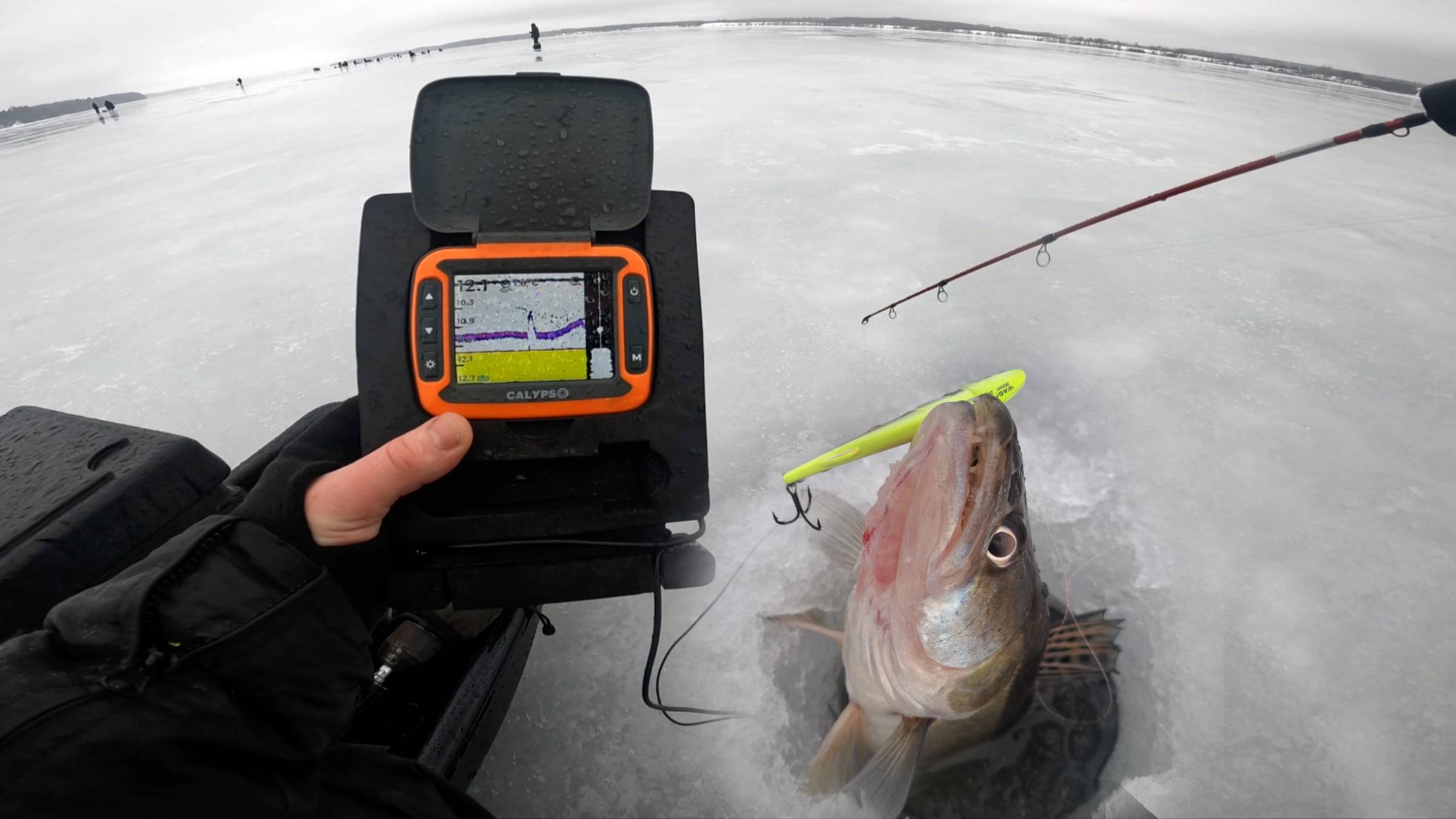 ПОДХОД!! УДАР!! Есть Судак! Зимняя рыбалка на судака с Эхолотом Calypso. смотреть онлайн