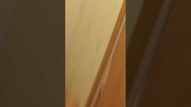 Англия - Россия, болеем за наших, мы лучшие!!!!! смотреть онлайн