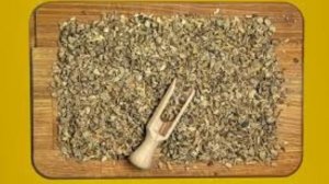 Применение девясила в лечебных целях