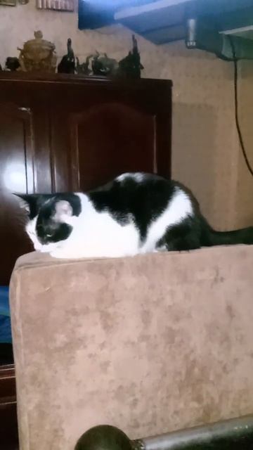 Вечер... Отдых...