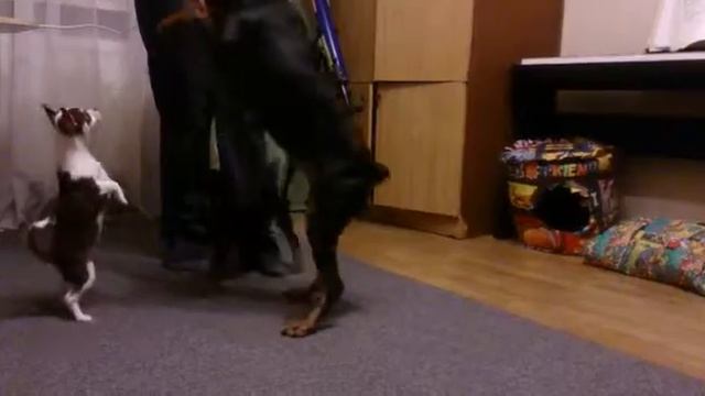 Гриэль 3 смотреть онлайн