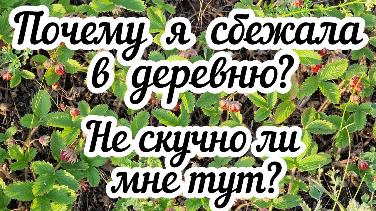 Почему я сбежала в деревню? Не скучно ли мне тут? В чем польза одиночества? (АУДИОПОДКАСТ) смотреть онлайн