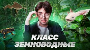 Класс Земноводные (Амфибии) для ОГЭ По Биологии