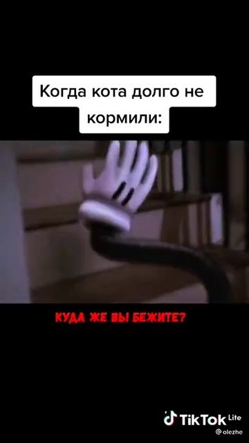 когда кота долго не кормили смотреть онлайн