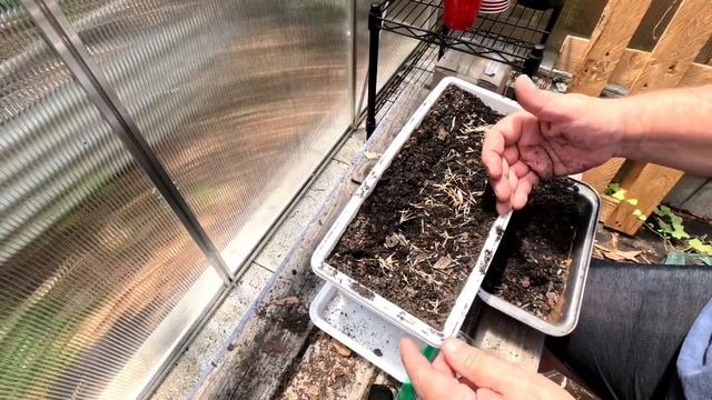 Tomato Cages For Peppers смотреть онлайн