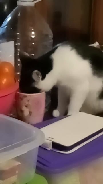 Что-то пить захотелось... ;-)