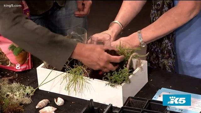 Artist takes advantage of Pacific Northwest's moss to beautify homes and gardens - New Day NW смотреть онлайн