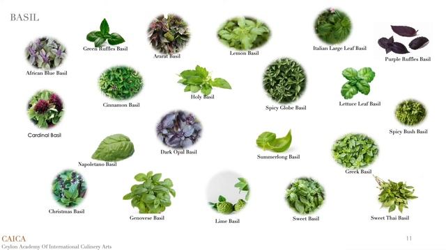 HERBS CAICA смотреть онлайн