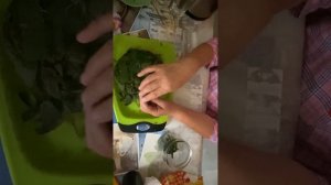 Ферментация листа ежевики