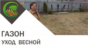 Что делать с газоном весной