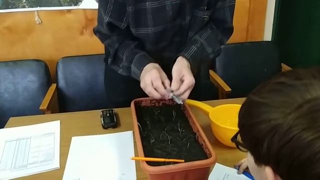 Сажаем ирисы с Мухачёвым смотреть онлайн