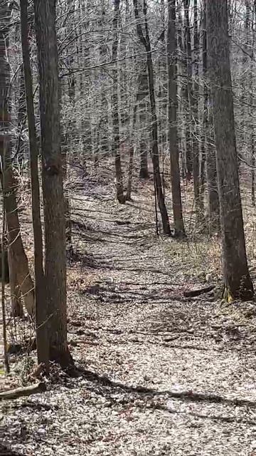 Vesnici proleća 🐕🐗😅 смотреть онлайн
