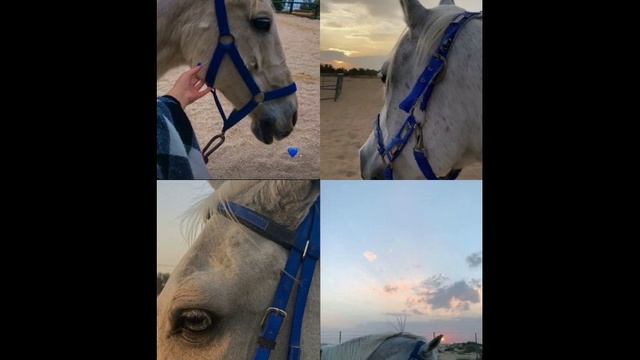 цыганцкая песня 2023🔱❤️💋👑до конца! смотреть онлайн