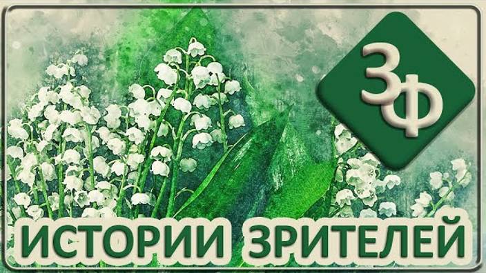 119 Правдивые истории наших зрителей смотреть онлайн