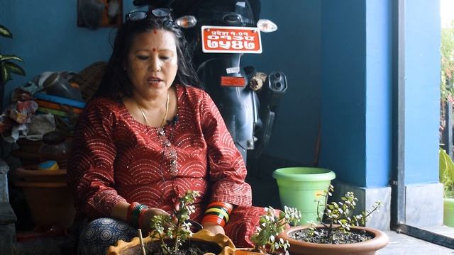 Jade Plant Cutting, Tips and Care I Pabitra Garden смотреть онлайн