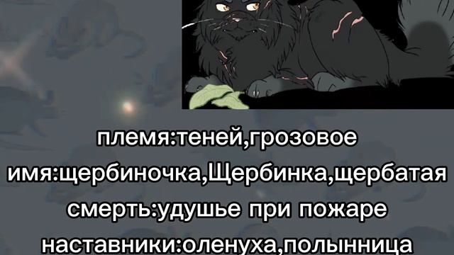 Факты о:синей звезде,щербатой, огнезвёзде,крутобоке,горелом из кв смотреть онлайн