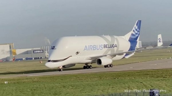 Airbus Beluga XL (2). 4K