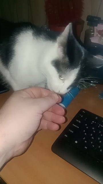 Колбаски кушаю... Вкусненько... ;-)