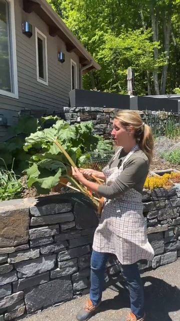 Gardening Quick Tip #9: The Secret To Supercharging Your New Rhubarb! 👨🌾 смотреть онлайн