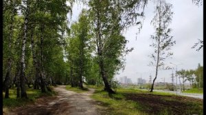 А  Жигулин  О, Родина, в неярком блеске  #стихиородине #поэты20века