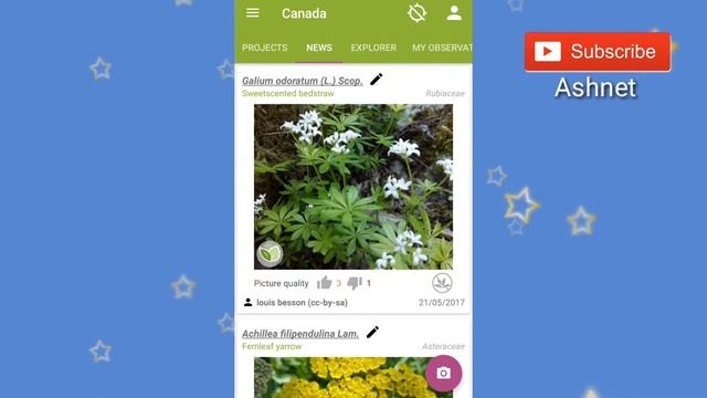 Planet plant identification by image Android App смотреть онлайн