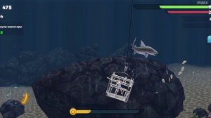 НОВАЯ КРУТАЯ ИГРА Hungry Shark Evolution | Играю за новую ТИГРОВУЮ АКУЛУ В ИГРУ ХАНГРИ ШАРК ЭВОЛЮШЕН