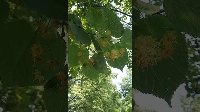 9 июня 2021 г. смотреть онлайн