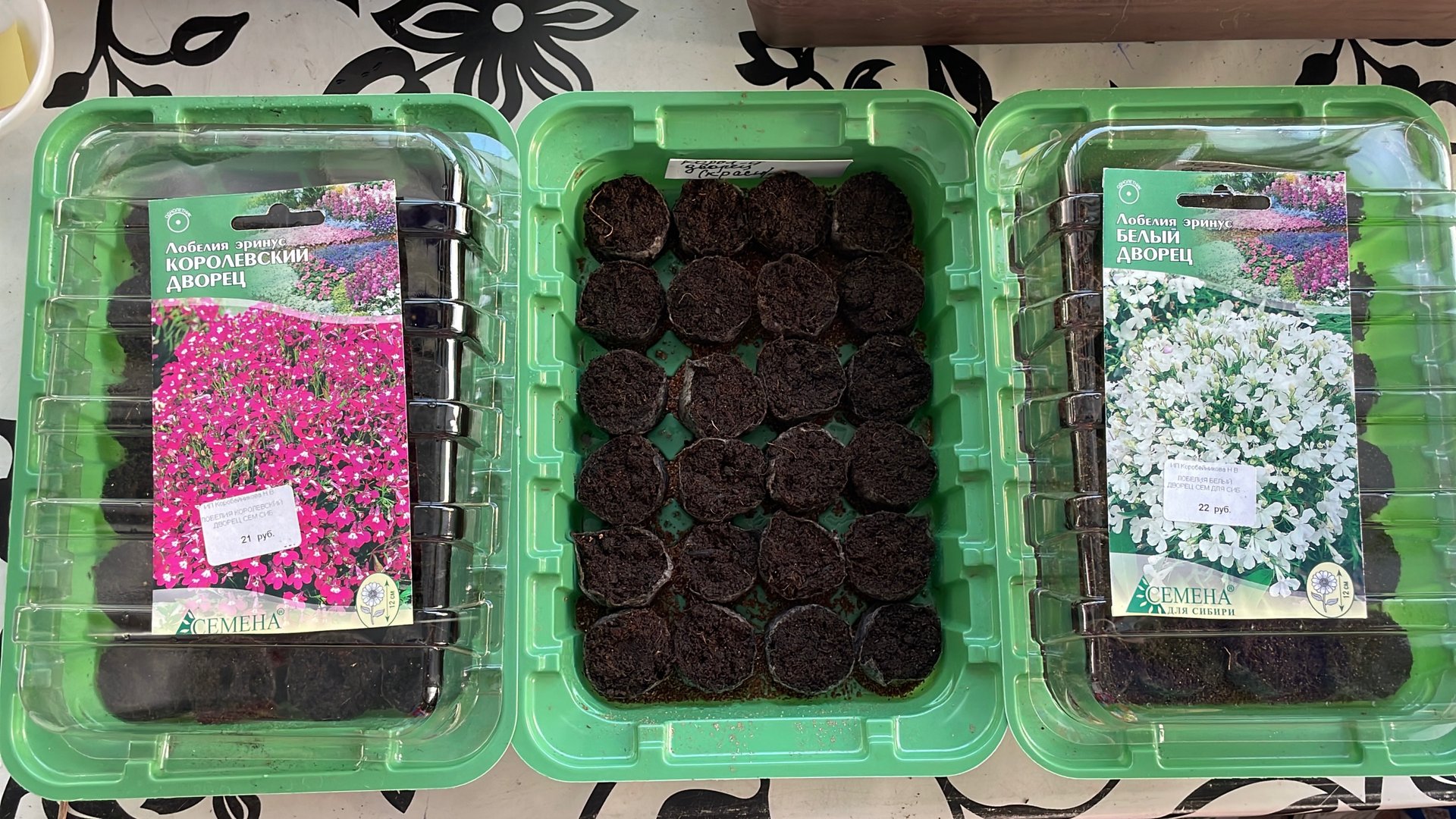 Посев Лобелии разных сортов. смотреть онлайн