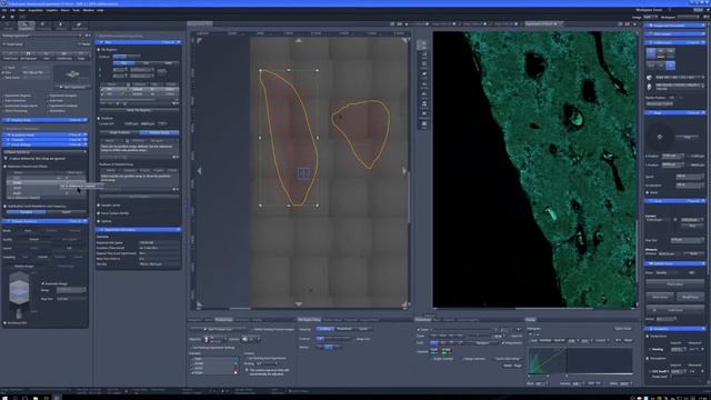 Running the Zeiss Cell Discoverer7, CD7 смотреть онлайн