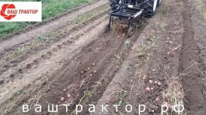 Картофелекопалка ККВ-1 на Т-25