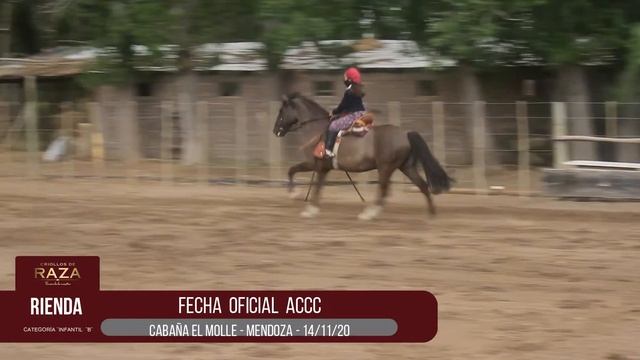 OFICIAL DE RIENDA FEDERICA SANITA SIETE BARRENDERO CABAÑA EL MOLLE SAN MARÍN MENDOZA смотреть онлайн